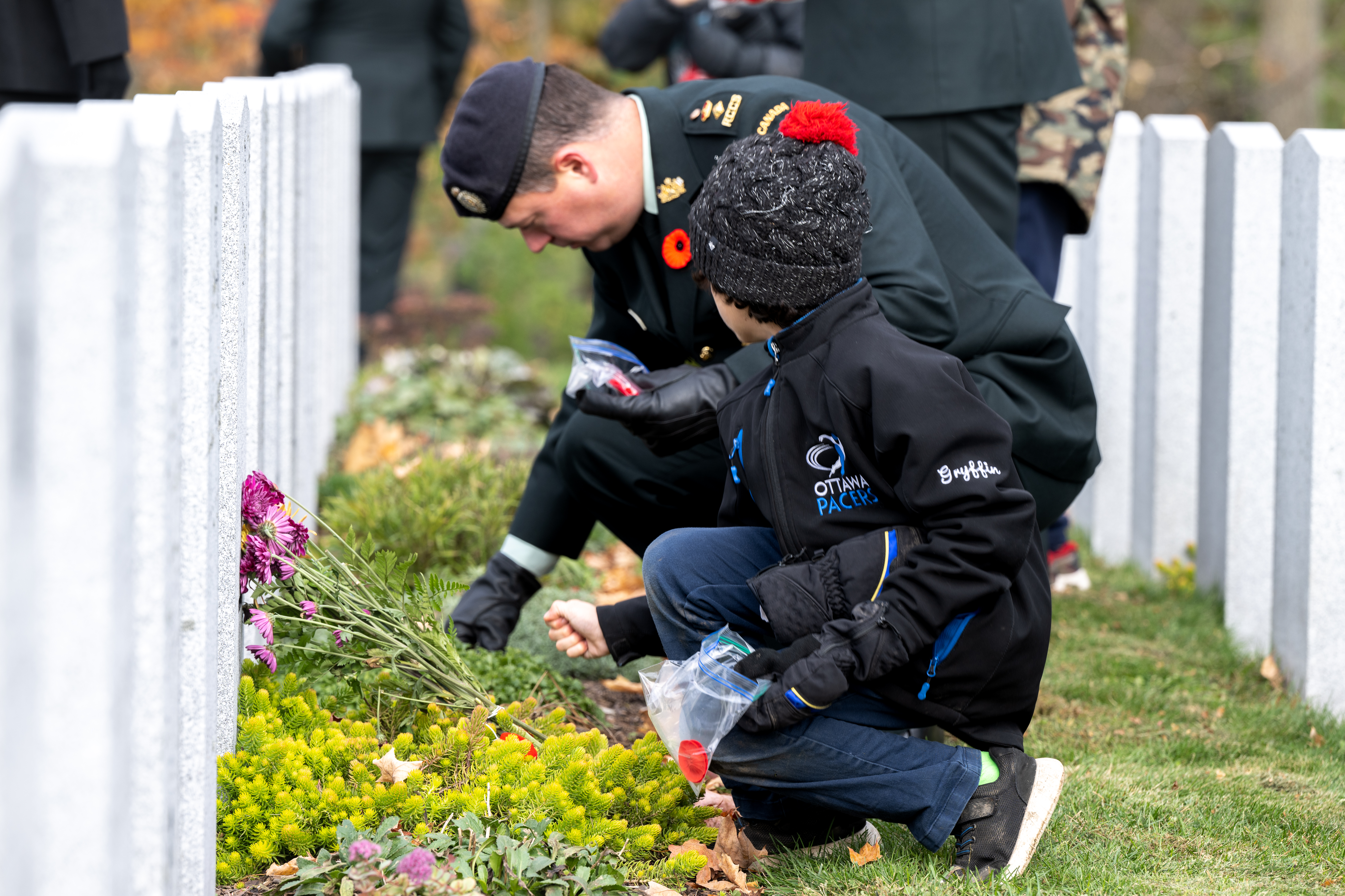 Commander placing poppy