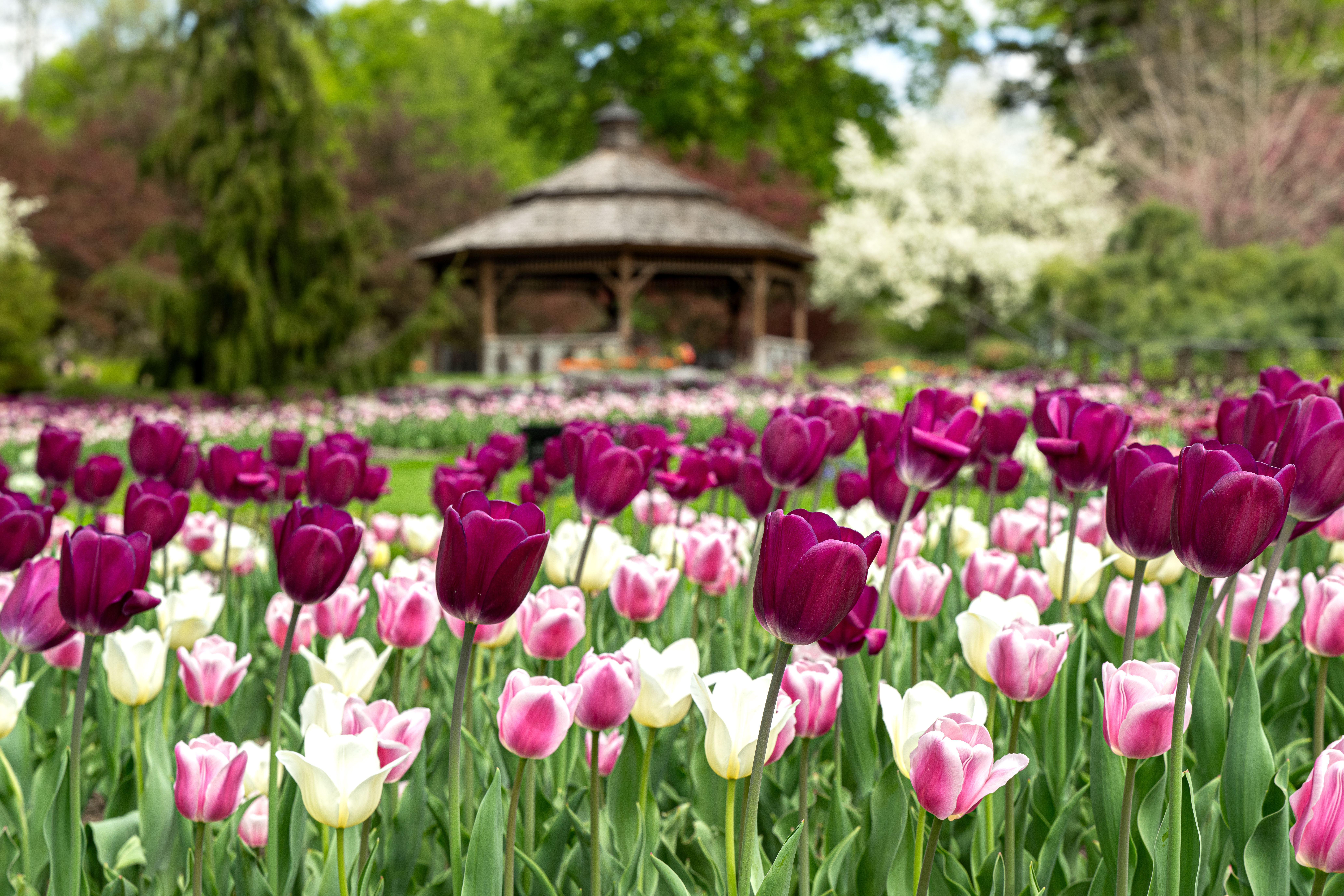 Gazebo