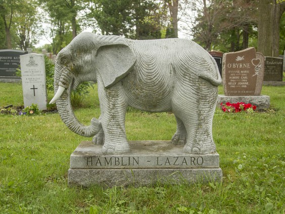 This elephant headstone memorializes a young woman who felt a special bond with the animal. Elephants also express sensitivity and social connection, particularly during times of death, covering their herd members with leaves and twigs