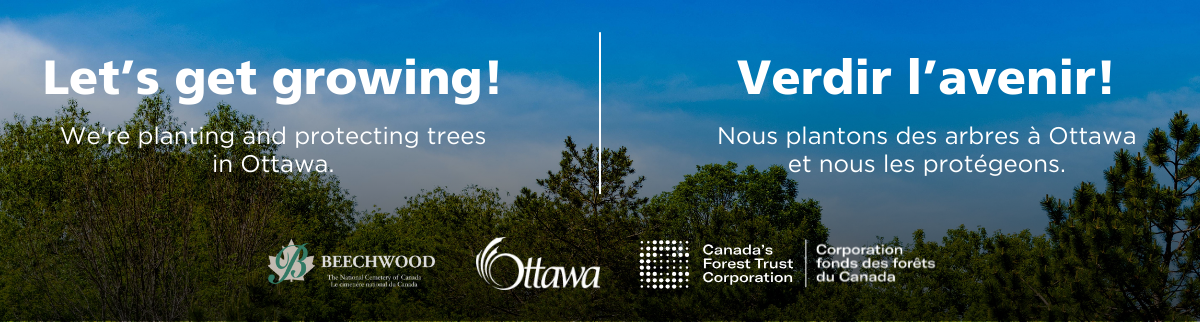 Let Get Growing Campaign image