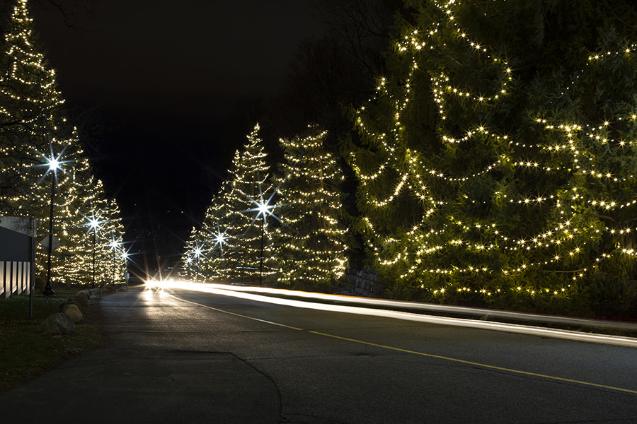 White car lights