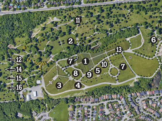 Map of Beechwood with numbers indication community sections