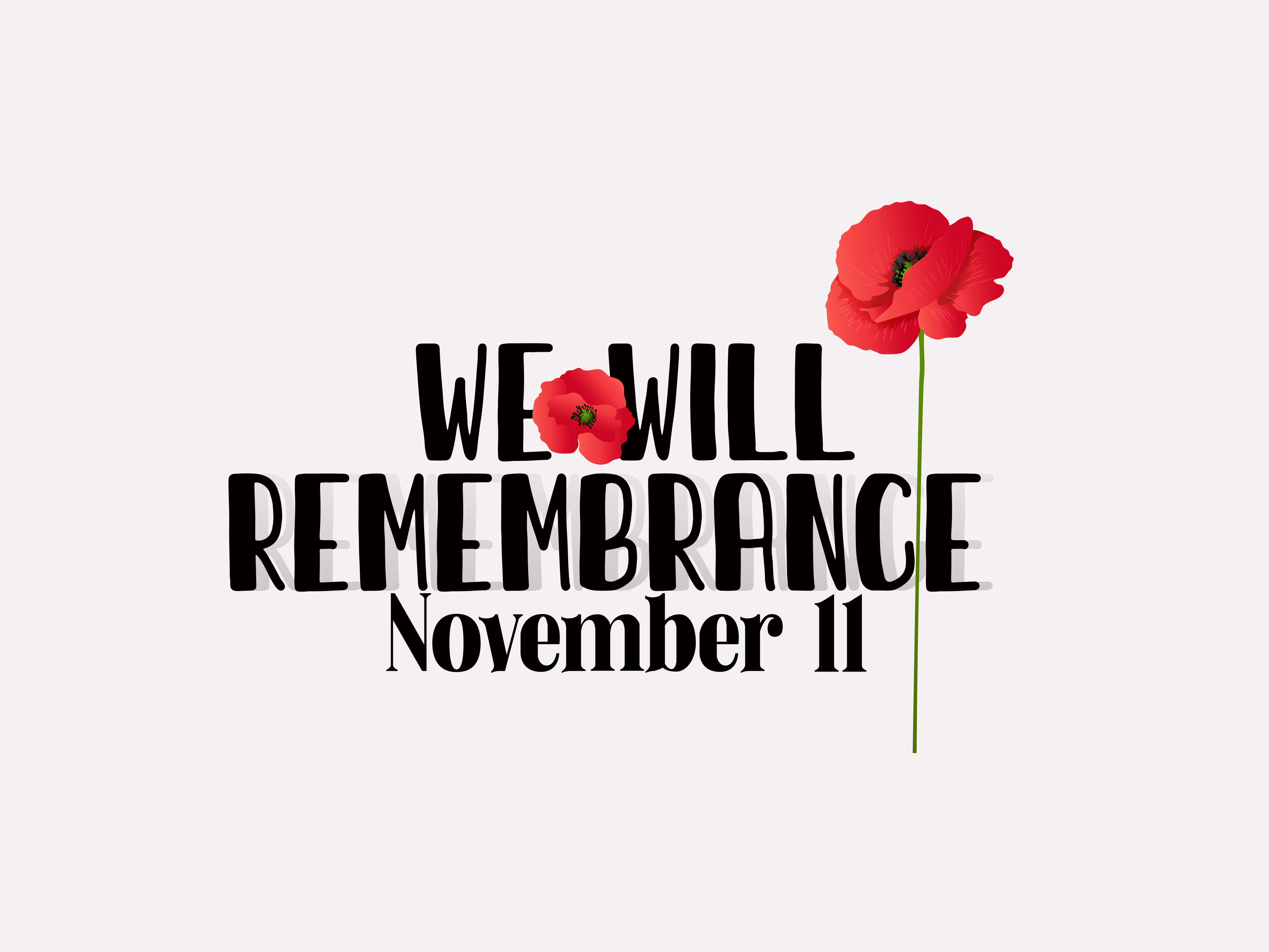 Remembrance day, Red poppies, Lest we forget, 11 Novembe