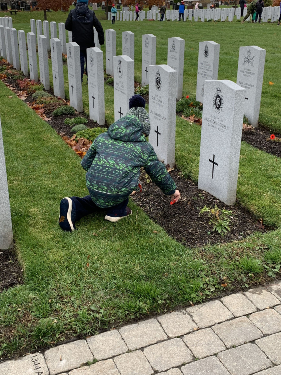 Child Placing poppy on headstone of soldier