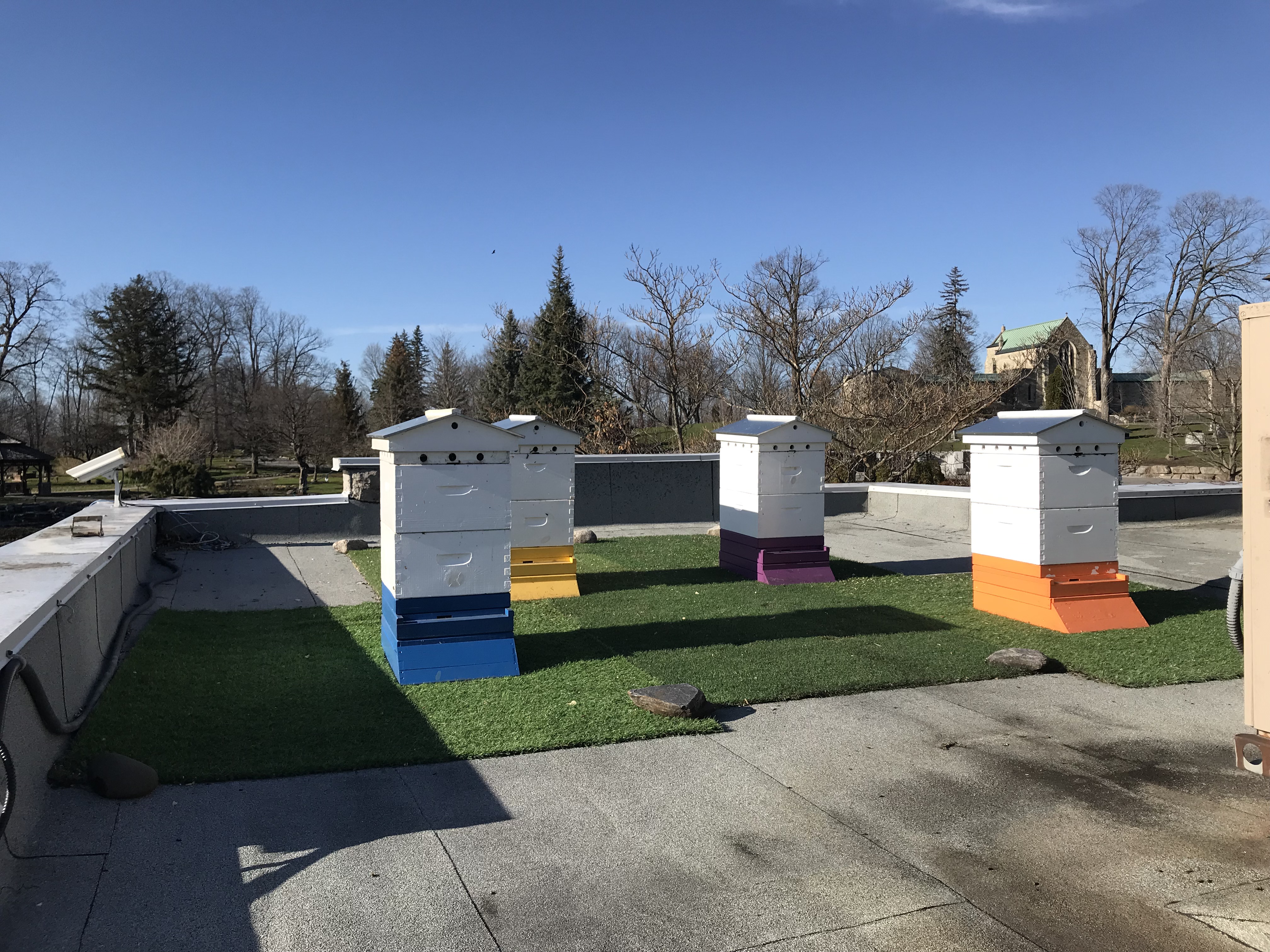 Bee hives