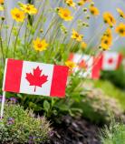 Canadian Flag | Beechwood Cemetery