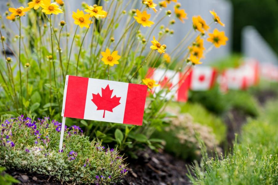 Canadian Flag | Beechwood Cemetery