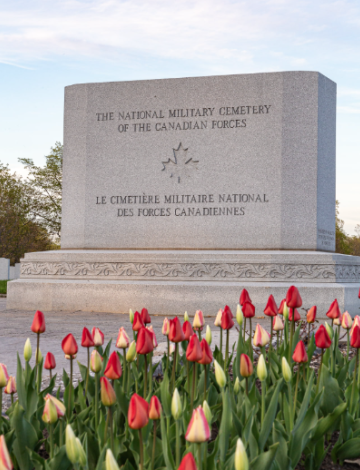 Beechwood Military Monument