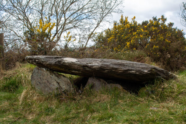 Barnagowlane Wedge Tomb, West Cork Ireland