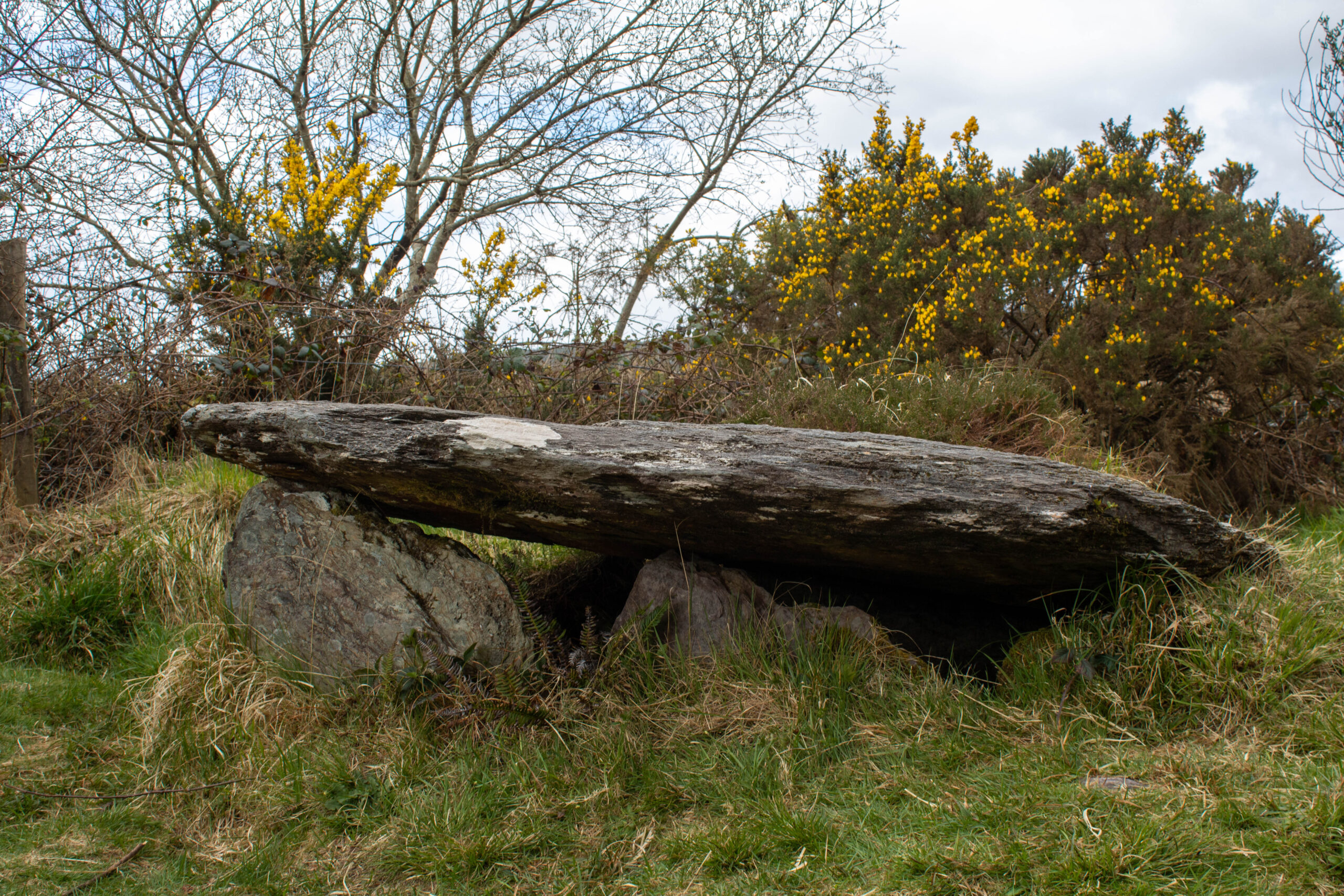 Barnagowlane Wedge Tomb, West Cork Ireland