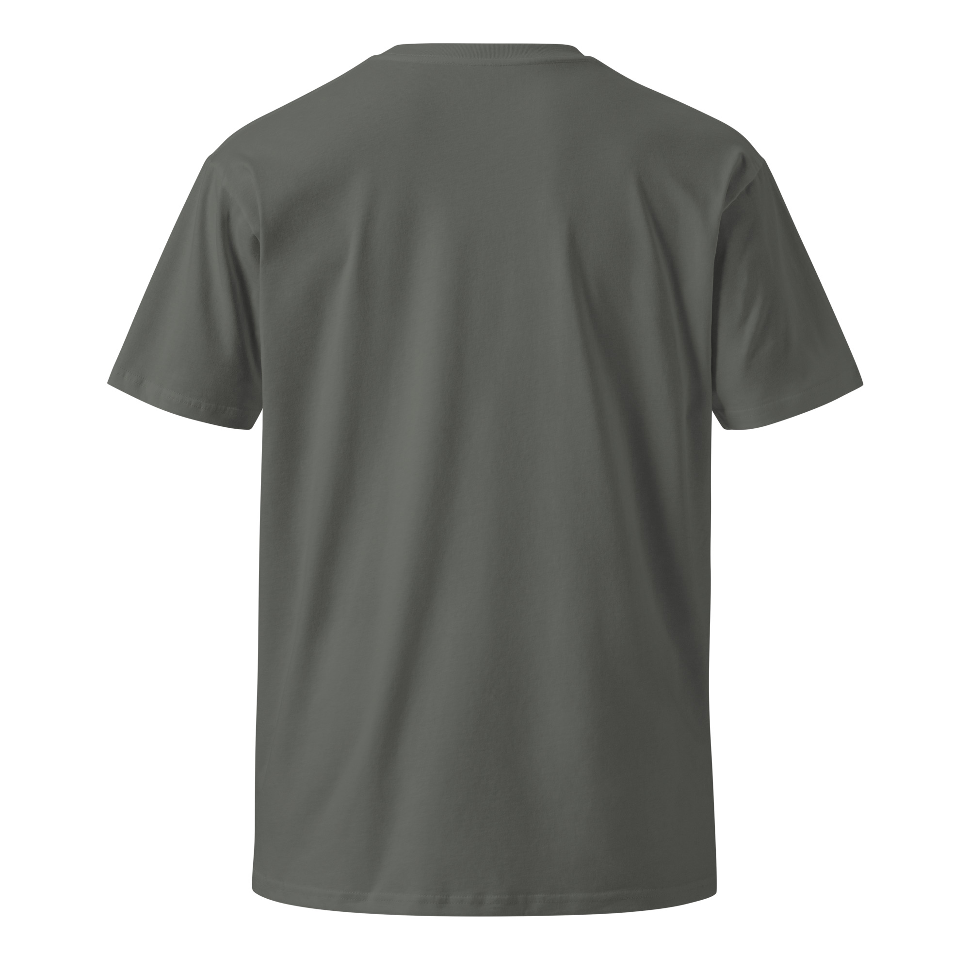 unisex-premium-t-shirt-charcoal-back-6a3972ad2baa8.jpg