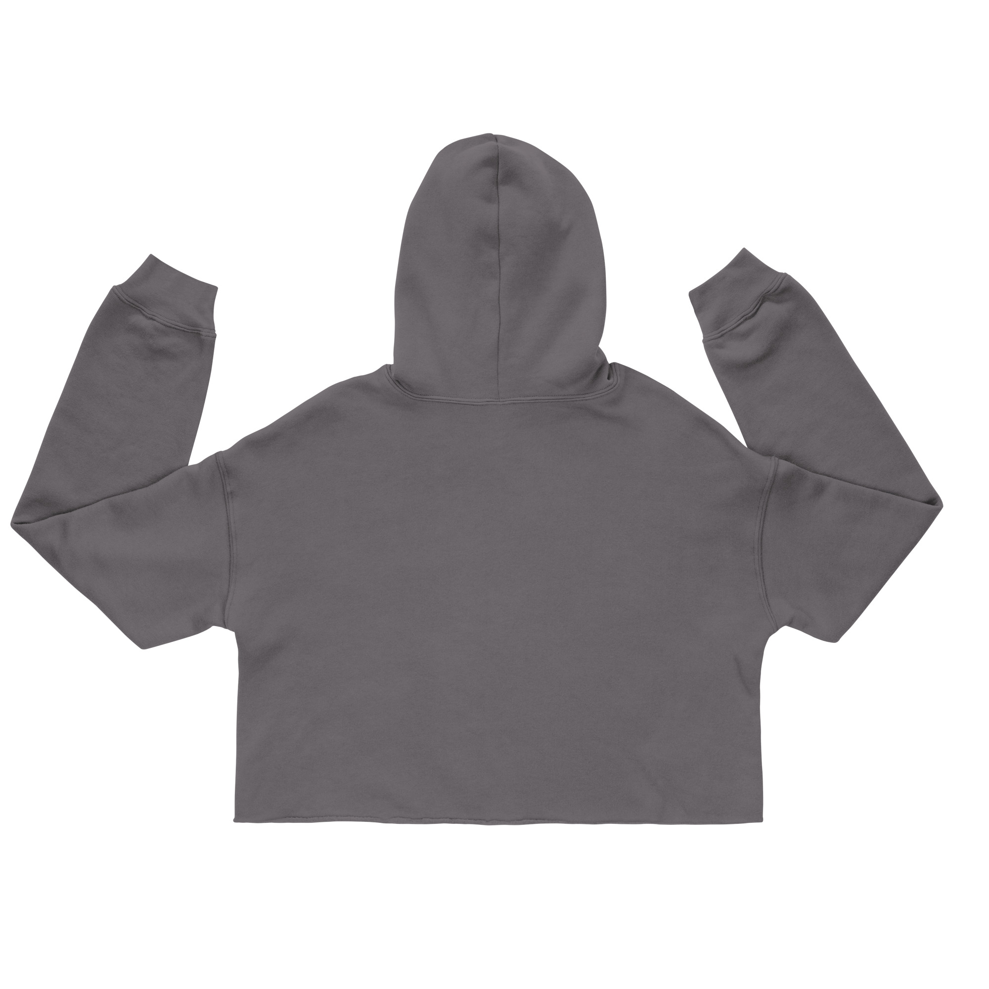 womens-cropped-hoodie-storm-back-6a3979a8a3110.jpg