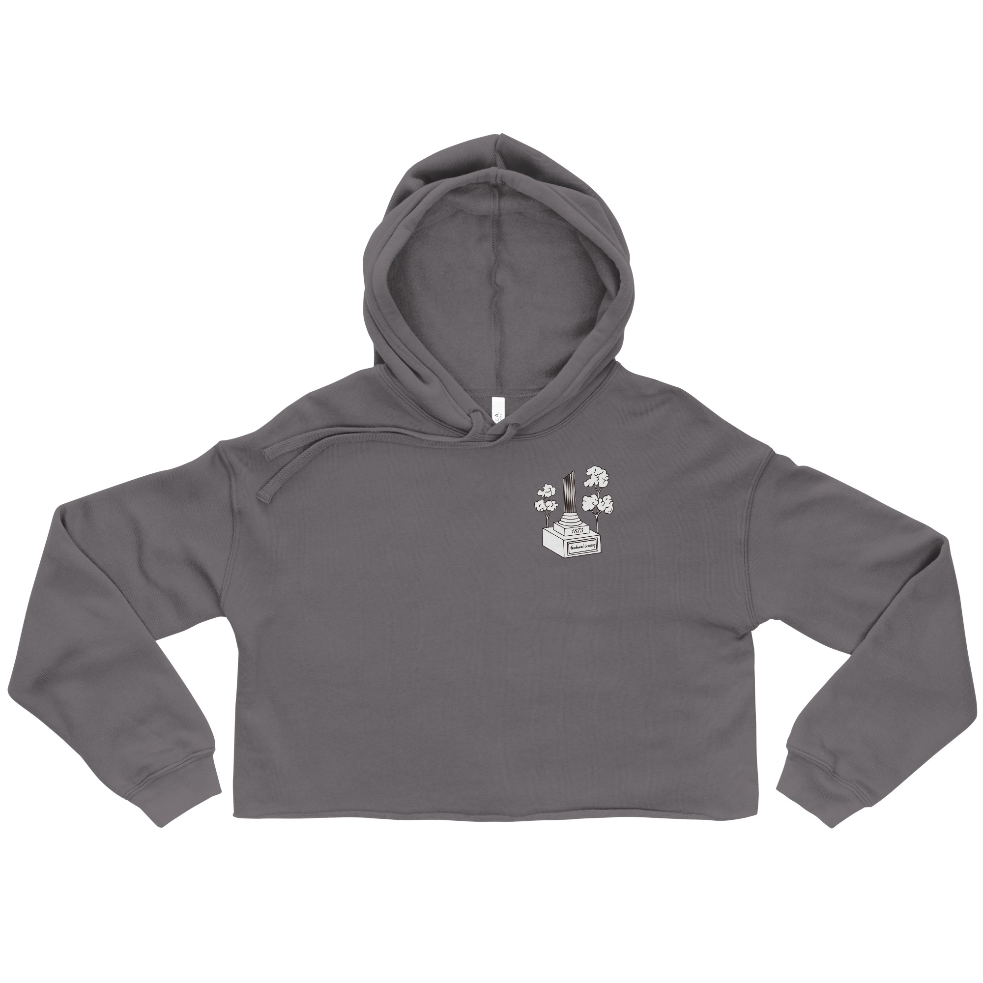 womens-cropped-hoodie-storm-front-6a3979a8a2ce1.jpg