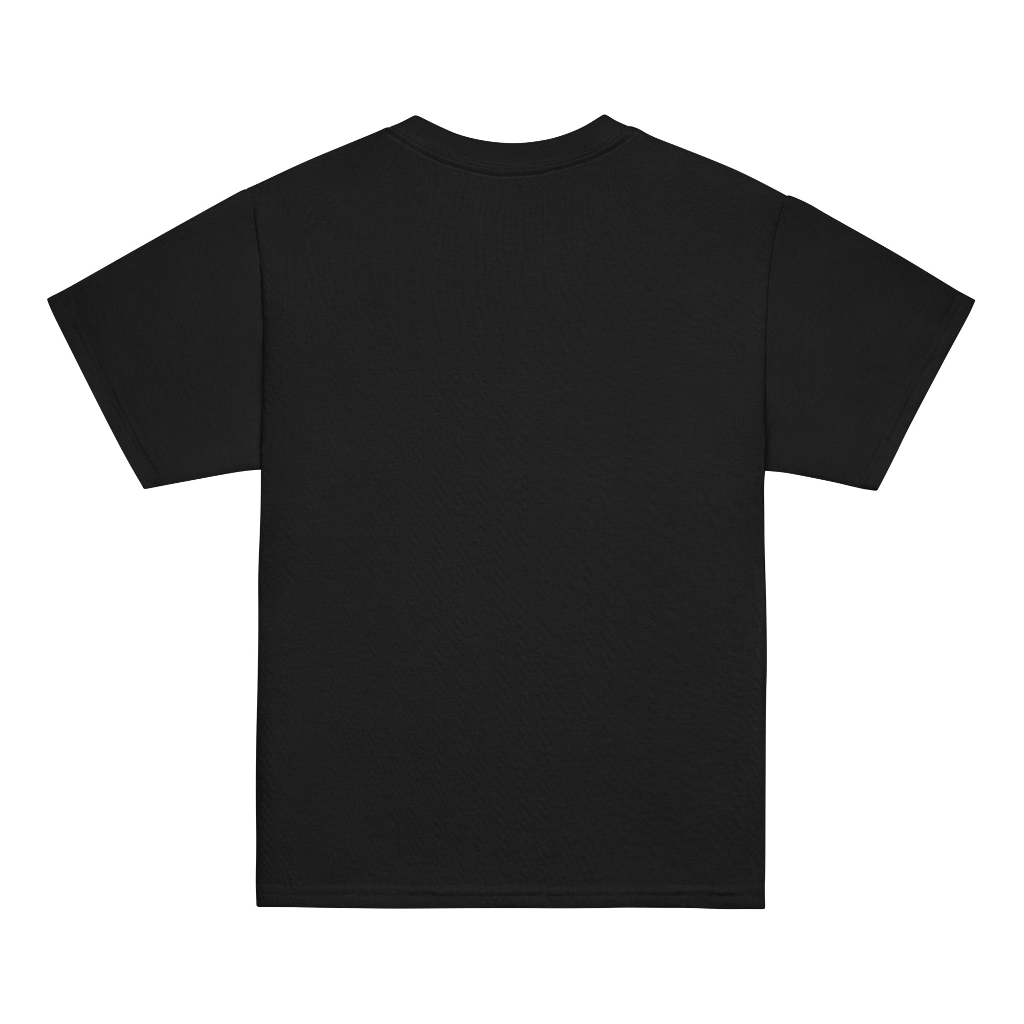 youth-classic-tee-black-back-6ab537a111a97.jpg