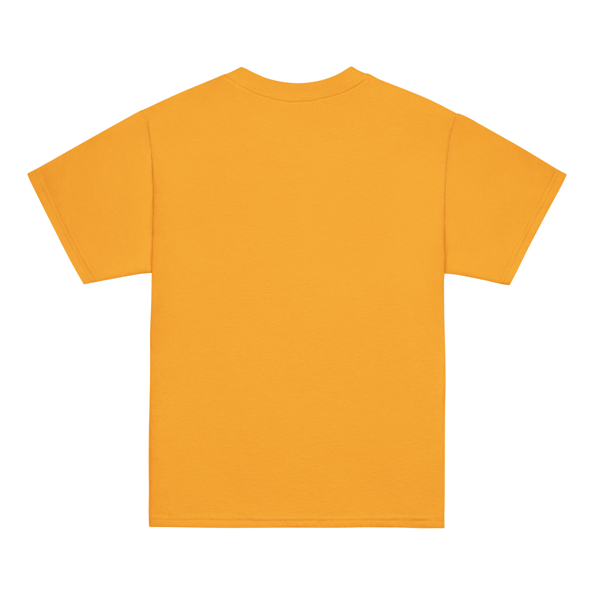 youth-classic-tee-gold-back-6ab537a111acf.jpg
