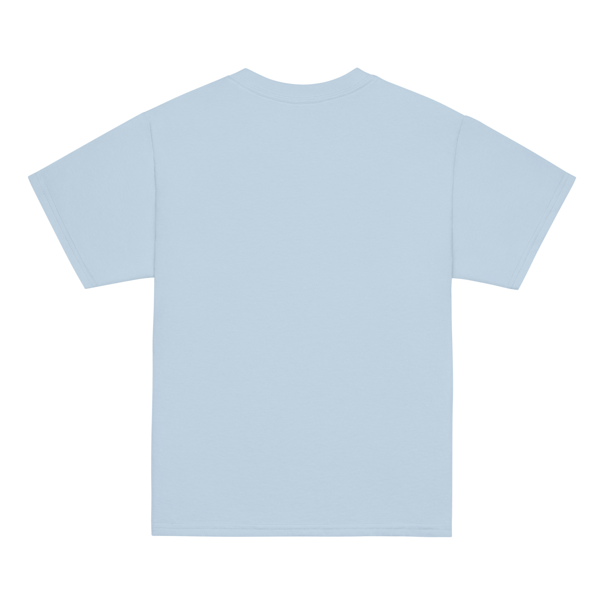 youth-classic-tee-light-blue-back-6ab537a111bd9.jpg