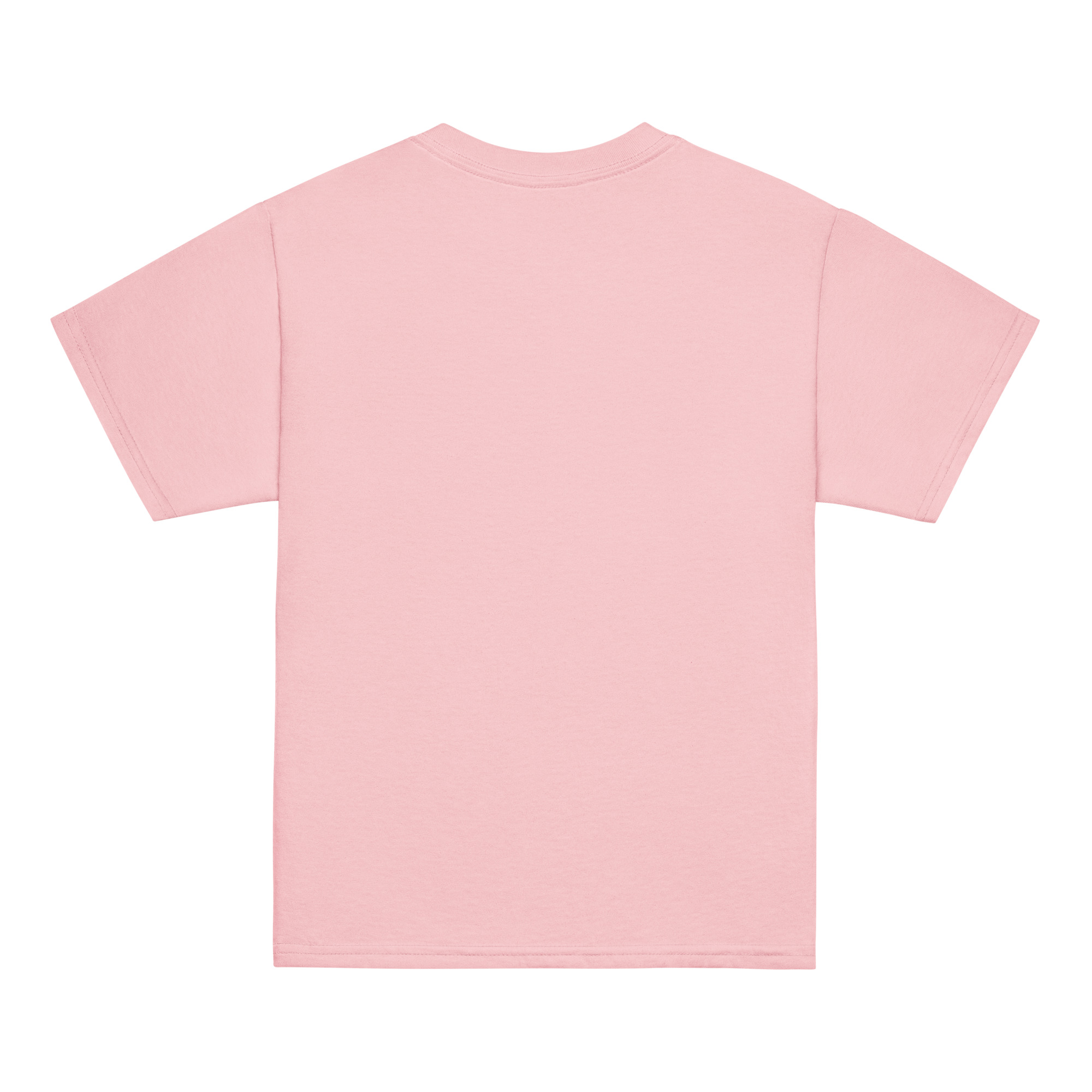 youth-classic-tee-light-pink-back-6ab537a111bb5.jpg
