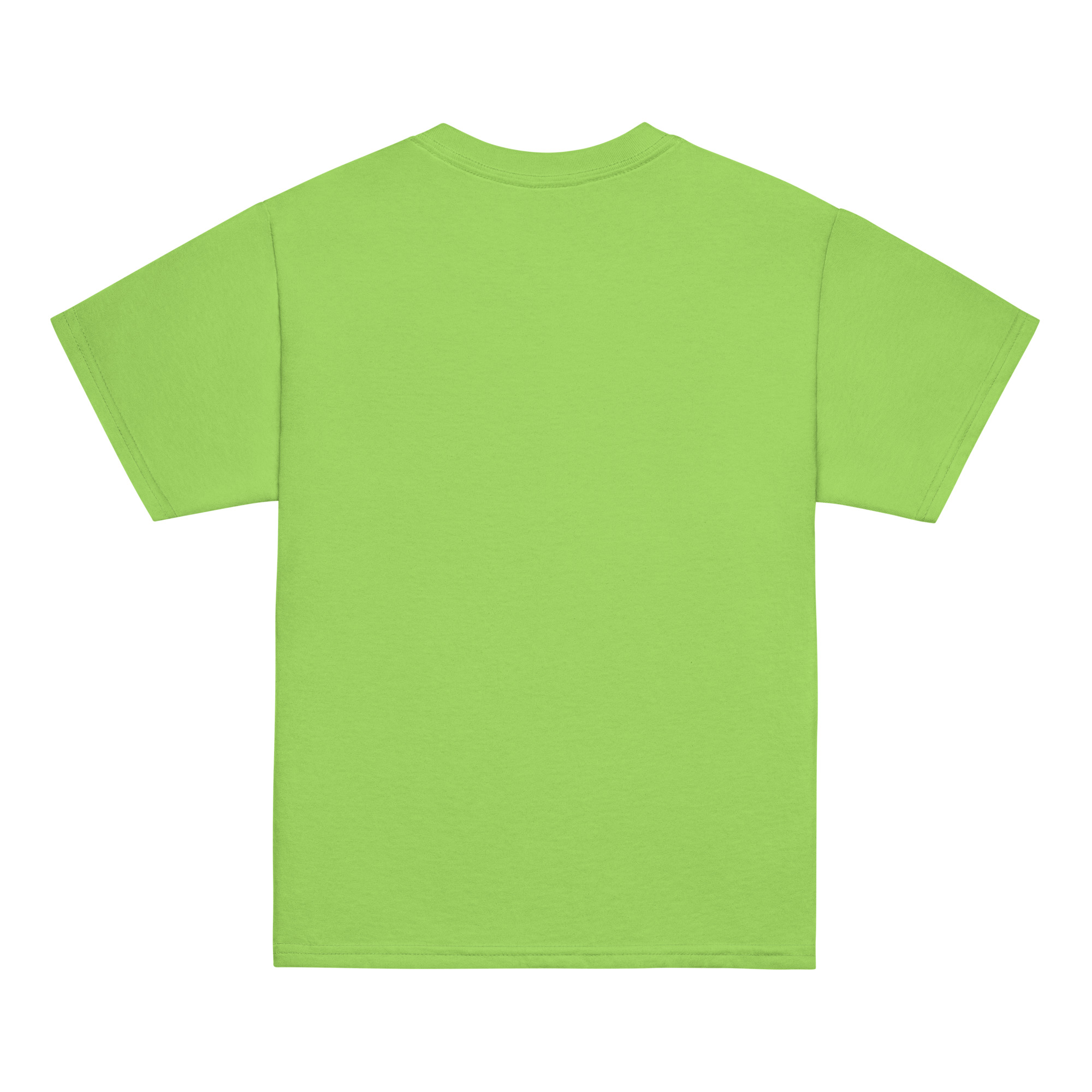 youth-classic-tee-lime-back-6ab537a111b92.jpg