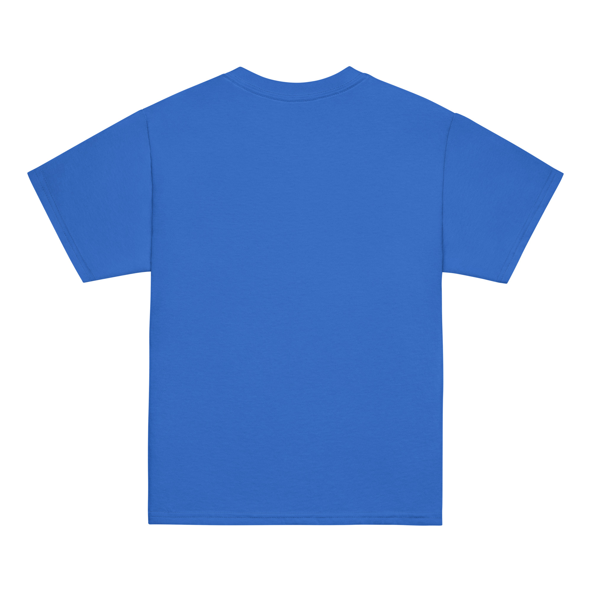 youth-classic-tee-royal-back-6ab537a111b25.jpg