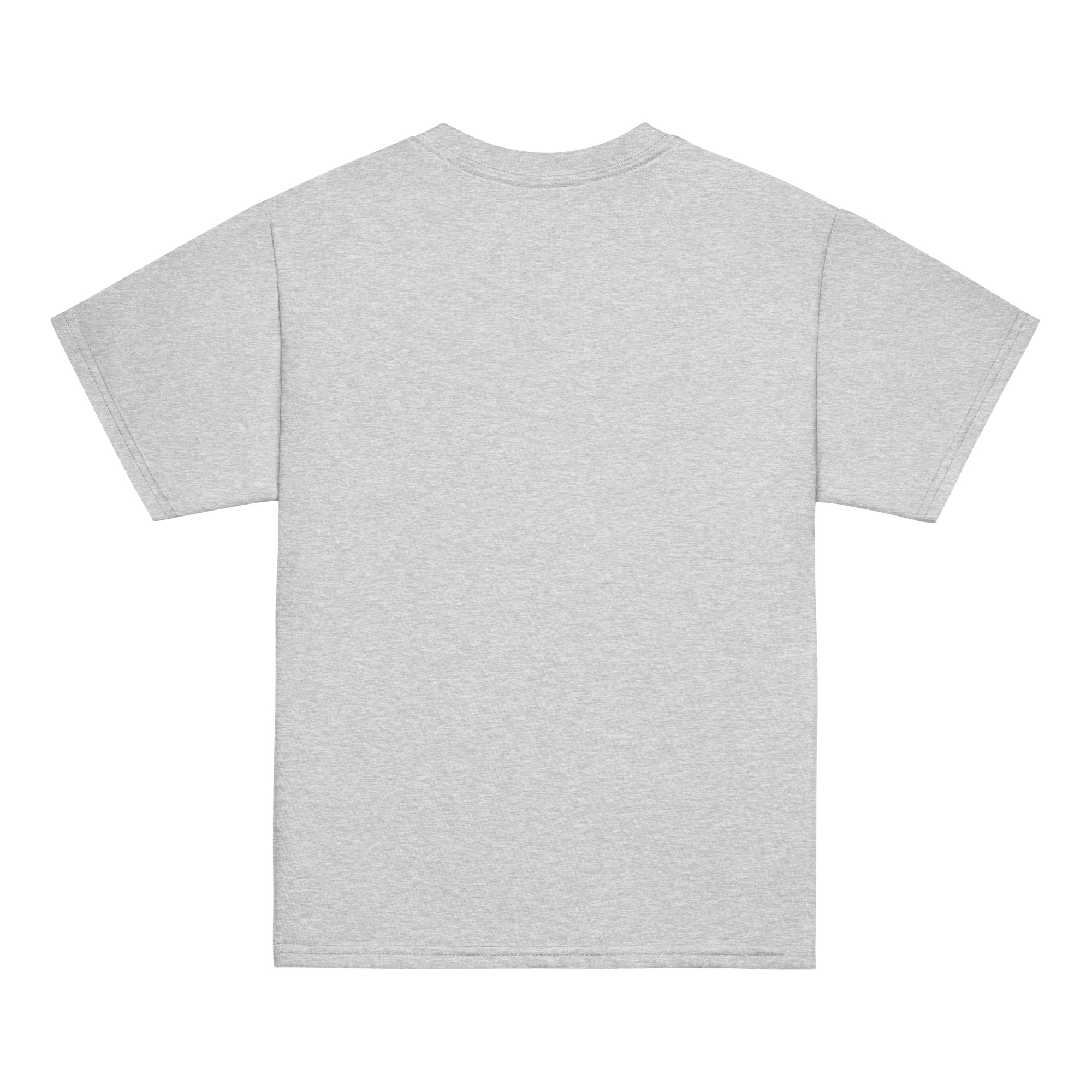 youth-classic-tee-sport-grey-back-6ab537a111b4a.jpg